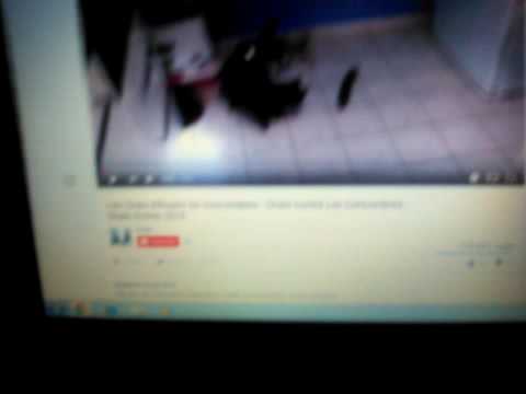 Attention aux concombre