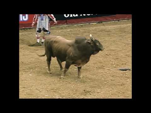 Lawman bucks Chris Shivers - 99 PBR Landover