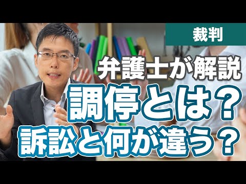 異文化調停 - 定義