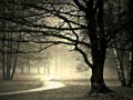david lanz nightfall