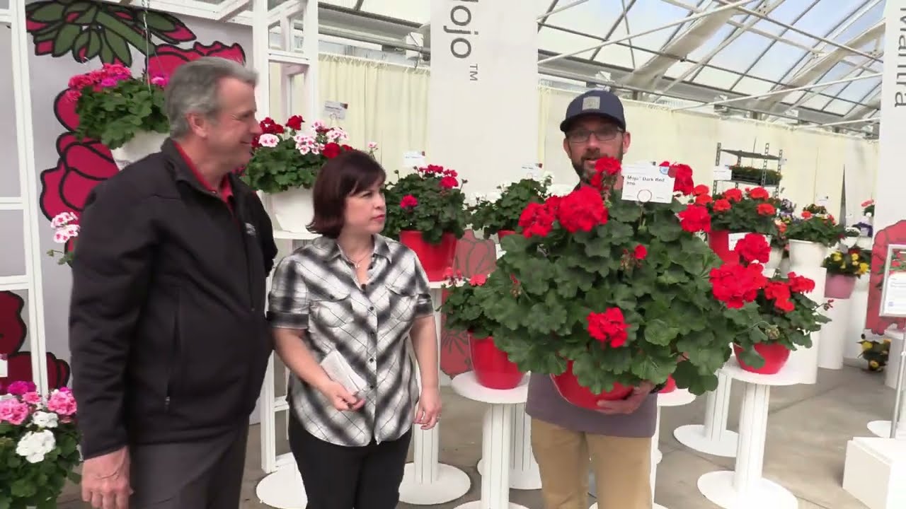 Spring Trials 2023: Syngenta