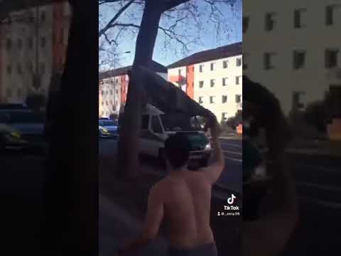 NGEE Es wird Ehrenlos