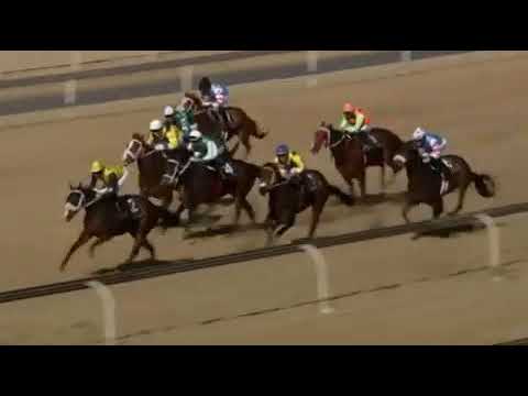 Desert Kitten - Race 4 Vaal