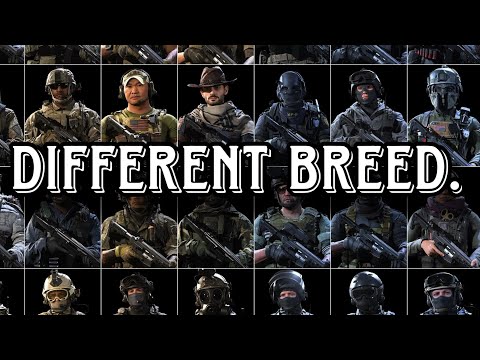 MW2019 skins were a different breed...