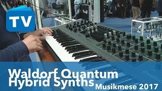 Video thumbnail for Waldorf Quantum 8 Voice Hybrid Synthesizer - Deutsch - German by musotalk