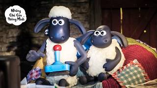 Download lagu NHỮNG CUỘC PHIÊU LƯU SIÊU VUI CÙNG SHAUN VÀ TIMMY NHỎ 🐑✨🤪🤸🏻‍♀️ | Shaun the Sheep [ViệtNam] mp3