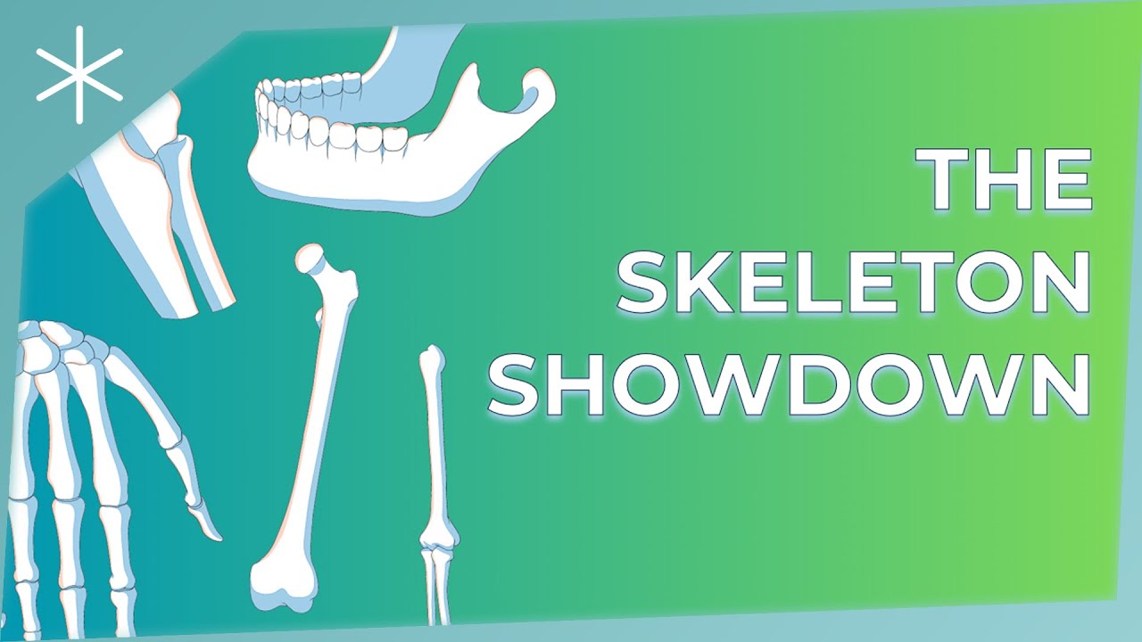 The skeleton showdown