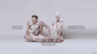 Strunk - Die Antwoord (Lyrics)