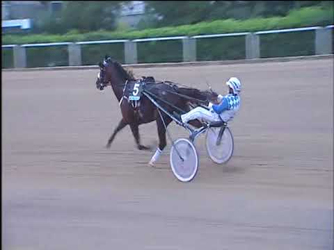 Trotto 29/10/2017 - 4ª corsa