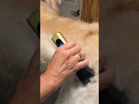 Which Dog Grooming Clipper is better?
