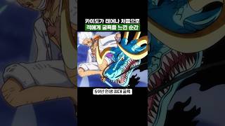 원피스) 카이도가 태어나 처음으로 적에게 굴욕을 느낀 순간