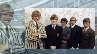 Herman&#39;s Hermits  -  You Won&#39;t Be Leaving