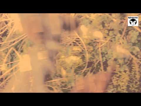 Darfroda - Respiration