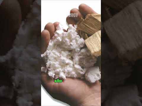 Como é Feito seu DINHEIRO...