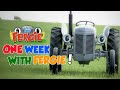 A Week With Fergie Monday To Sunday Film Little Grey Fergie Gråtass