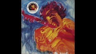 JIMI HENDRIX  -  ROOM FULL OF MIRRORS (VINYL CUT) -  LIVE AT ROYAL ALBERT HALL  - 1970