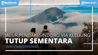 Per Tanggal 3 Januari 2022 Jalur Pendakian Gunung Sindoro Via Kledung Tutup Sementara, Ini Sebabnya