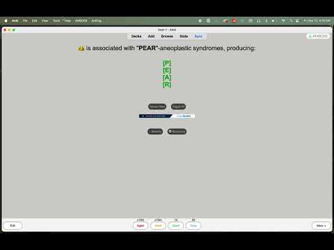 Anki Toggle Add On