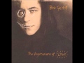 Bob Geldof - A Rose at Night 