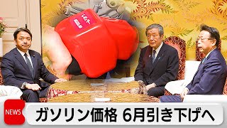 自民・公明・ 国民民主が幹事長会談 ガソリン価格6月引き下げで合意