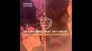 All We Need (feat. Shy Girls) (John Digweed & Nick Muir Remix)