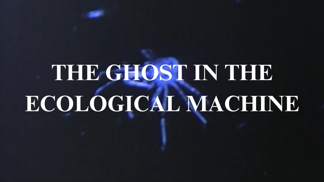 Biodiversity: The uncomfortable truth