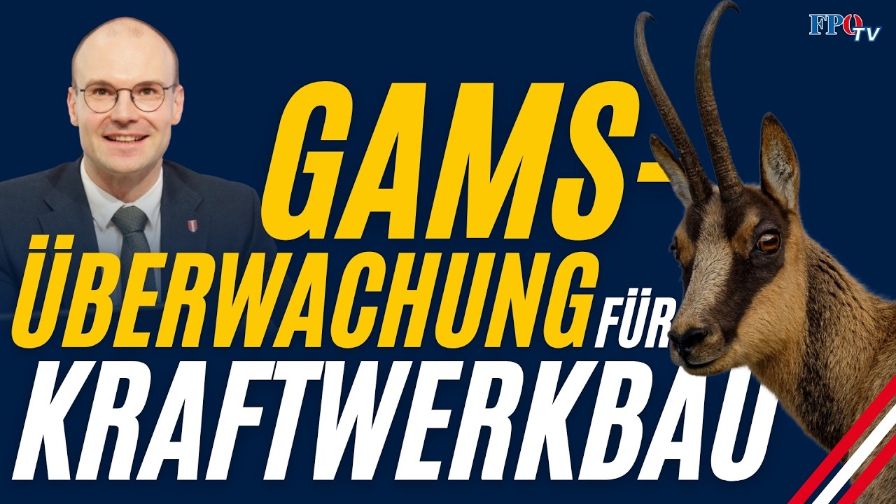 Diese Auflagen machen den Kraftwerkbau zum Irrsinn!