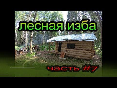 Лесная изба часть #7.Продолжаем строить