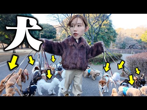最近犬を飼ったみゆに沢山の犬をプレゼントしたら大変と可愛いが渋滞した1日になった