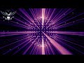 Fetish Come Check This Bass Dance Clubmusic