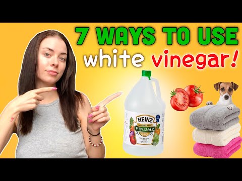 White Vinegar Cleaning Hacks