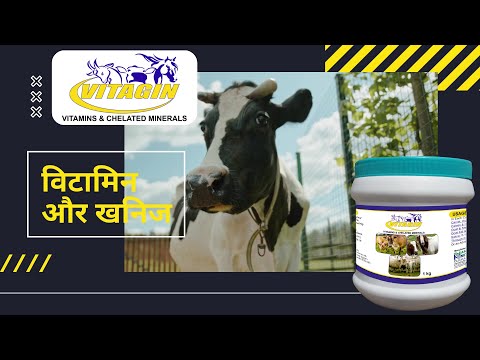 Broiler Disinfectant & Toxin Binder (Anfacid), Packaging Type: Plastic Container