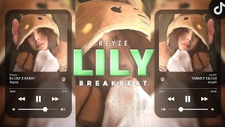 Download lagu DJ LILY X BABAT BREAKBEAT VIRAL TIKTOK mp3