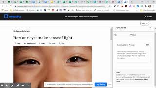 NewsELA Article Lesson