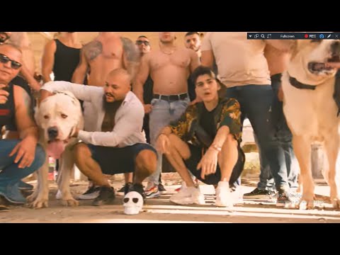 Reactie la Regi Romaniei Abi Feat. Dani Mocanu