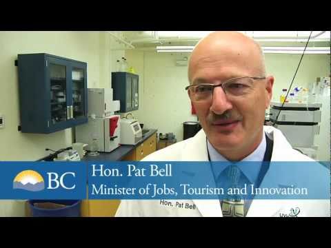 Researcher shoots for super-trees