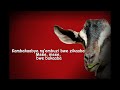 Ziza Bafana Embuzi Official Lyrics Video