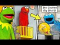 Tik Tok Memes Kermit Found On Thanksgiving