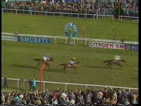 1992 Champion Hurdle