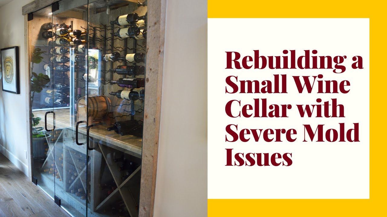 Rebuilding a Small Wine Cellar with Severe Mold Issues