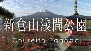 新倉山浅間公園 忠霊塔の紅葉と富士山 - Autumn leaves and Mt.Fuji at Chureito Pagoda