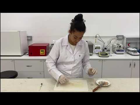 Çapraz Kontaminasyon ile Salmonella Bulaşısı