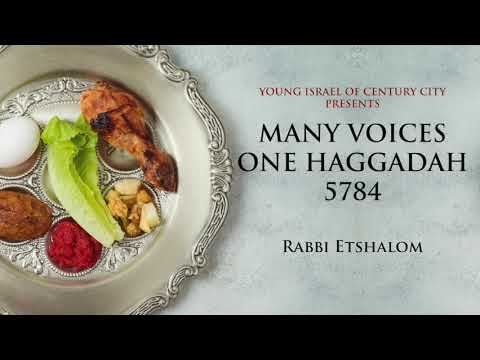 Many Voices - One Haggadah 5784 : "Who Knows Five?" by Rabbi Yitzchak Etshalom