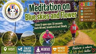 Guided Meditation on Blue Skies & Summer Blooms for Calm, Focus & Relaxation 🌿💙🌸