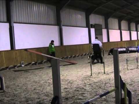Kai agility training manege 08-02-2014