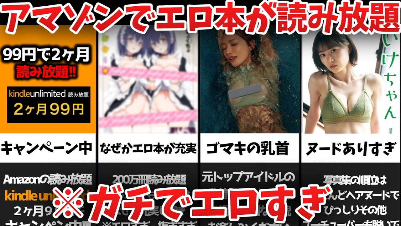 【無法地帯】なぜかハメ〇りの写真集など、エ口本が沢山あるkindle unlimitedをご紹介【ずんだもん】