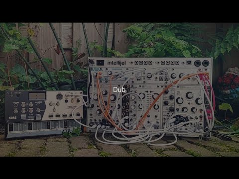 Dub: Volca Drum + Modular