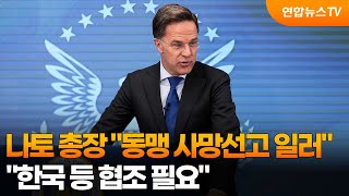 나토 총장 동맹 사망선고 일러…한국 등 협조 필요 / 연합뉴스TV (YonhapnewsTV)