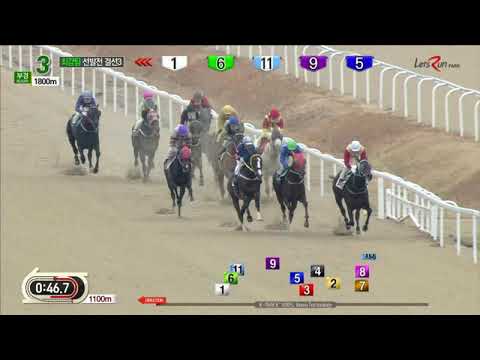 New Legend - Busan Racecourse - December 16, 2018