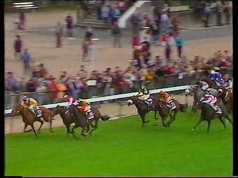 1993 Ciga Prix de l'Arc de Triomphe Urban Sea Includes Replay